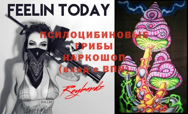 дживик Краснотурьинск