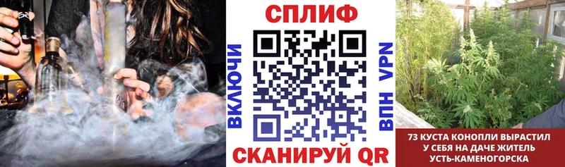 Канабис OG Kush  Купить  Канск 